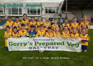 Pictured are the Drumhowan U12 team who won the Division Shield 11 A-Side Final. © Northern Standard